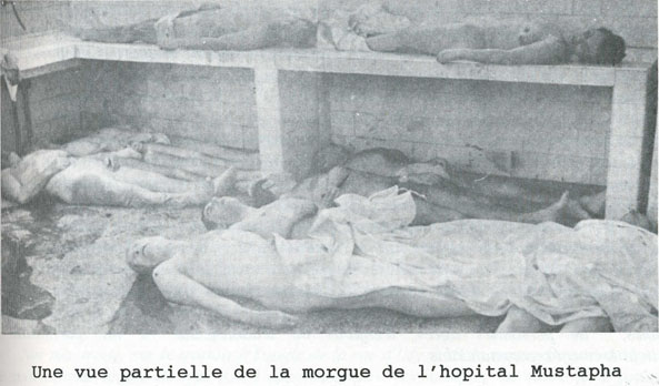 la morgue de MUSTAPHA